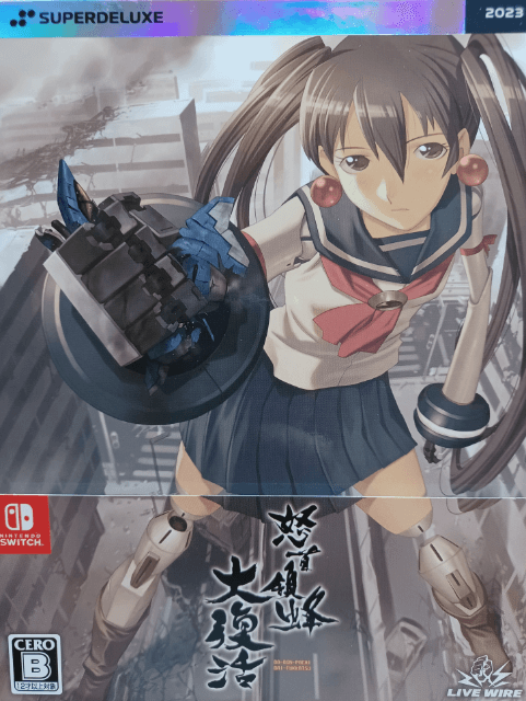 Dodonpachi Daifukatsu box art for Nintendo Switch